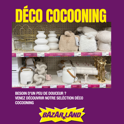 Promotions Magasin Bazarland Quillan