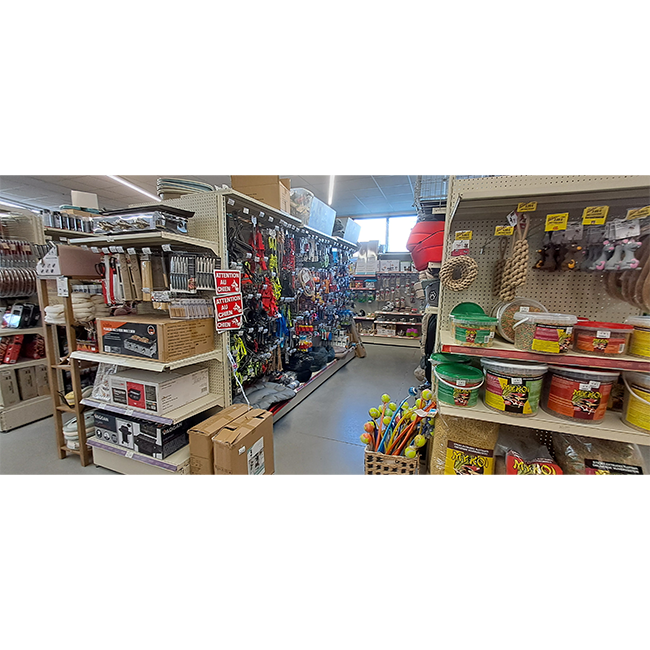 Présentation Magasin Bazarland Breuil-le-vert
