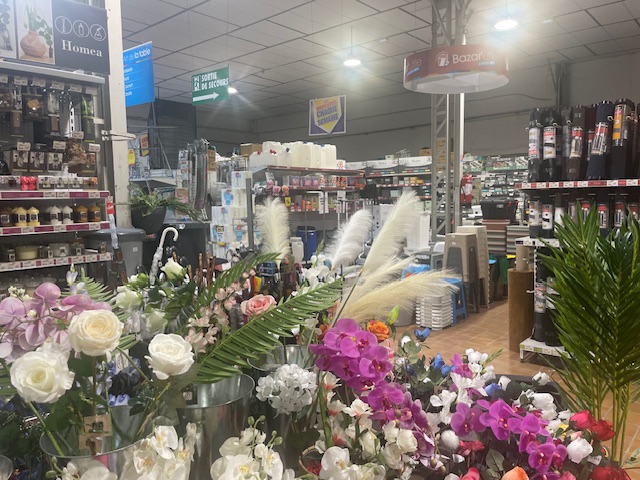 Présentation Magasin Bazarland Coarraze